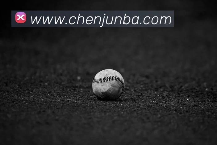 nba投注网站平台生态图